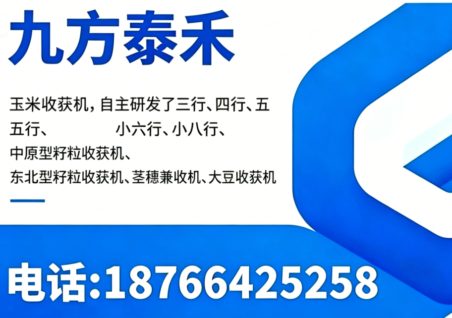 迪马